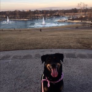 Meet your Posher, Ted